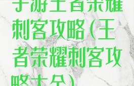 手游王者荣耀刺客攻略(王者荣耀刺客攻略大全)
