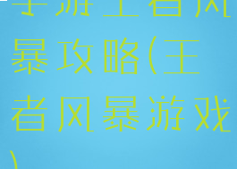手游王者风暴攻略(王者风暴游戏)