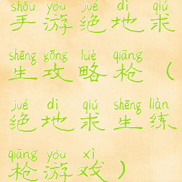 手游绝地求生攻略枪(绝地求生练枪游戏)