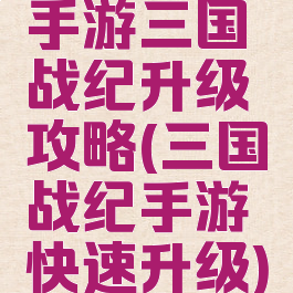 手游三国战纪升级攻略(三国战纪手游快速升级)