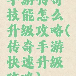 手游传奇技能怎么升级攻略(传奇手游快速升级攻略)