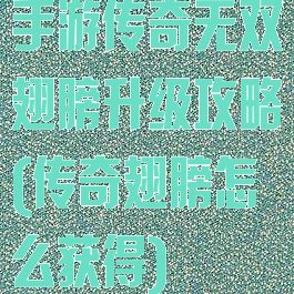 手游传奇无双翅膀升级攻略(传奇翅膀怎么获得)