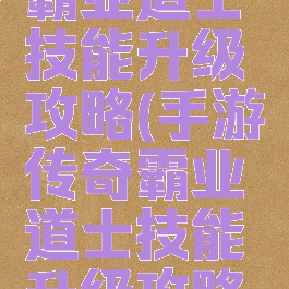 手游传奇霸业道士技能升级攻略(手游传奇霸业道士技能升级攻略图)