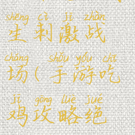 手游吃鸡攻略绝地求生刺激战场(手游吃鸡攻略绝地求生刺激战场下载)