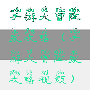手游大冒险家攻略(手游大冒险家攻略视频)