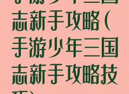 手游少年三国志新手攻略(手游少年三国志新手攻略技巧)