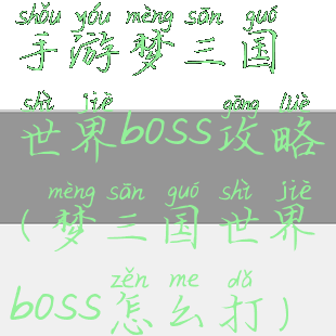 手游梦三国世界boss攻略(梦三国世界boss怎么打)