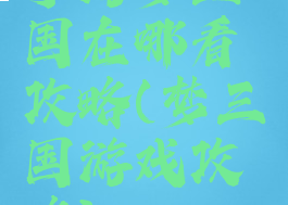 手游梦三国在哪看攻略(梦三国游戏攻略)