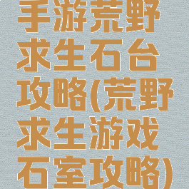 手游荒野求生石台攻略(荒野求生游戏石室攻略)