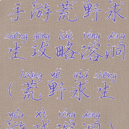 手游荒野求生攻略溶洞(荒野求生游戏溶洞)