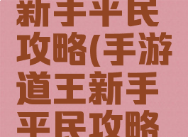 手游道王新手平民攻略(手游道王新手平民攻略图)