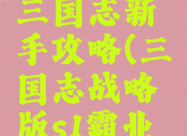 手游霸业三国志新手攻略(三国志战略版s1霸业攻略)