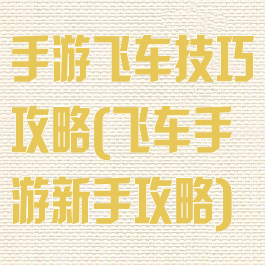 手游飞车技巧攻略(飞车手游新手攻略)