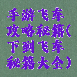 手游飞车攻略秘籍(下到飞车秘籍大全)
