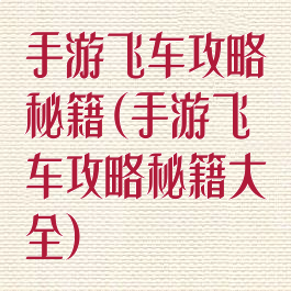 手游飞车攻略秘籍(手游飞车攻略秘籍大全)