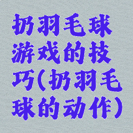 扔羽毛球游戏的技巧(扔羽毛球的动作)