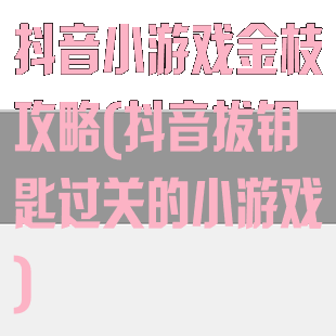 抖音小游戏金枝攻略(抖音拔钥匙过关的小游戏)