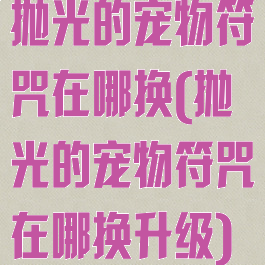抛光的宠物符咒在哪换(抛光的宠物符咒在哪换升级)