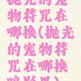 抛光的宠物符咒在哪换(抛光的宠物符咒在哪换暗影界)