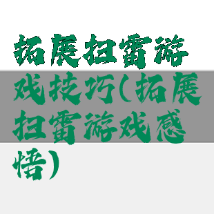 拓展扫雷游戏技巧(拓展扫雷游戏感悟)