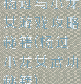 杨过与小龙女游戏攻略秘籍(杨过小龙女武功秘籍)
