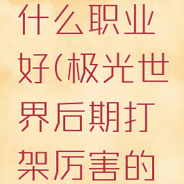 极光世界什么职业好(极光世界后期打架厉害的职业)