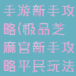极品芝麻官手游新手攻略(极品芝麻官新手攻略平民玩法介绍)