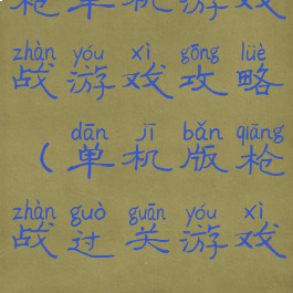 枪单机游戏战游戏攻略(单机版枪战过关游戏)