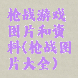 枪战游戏图片和资料(枪战图片大全)