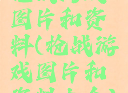 枪战游戏图片和资料(枪战游戏图片和资料大全)