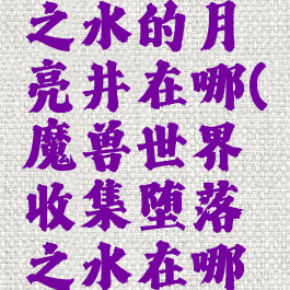 收集堕落之水的月亮井在哪(魔兽世界收集堕落之水在哪里)