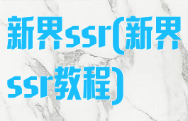 新界ssr(新界ssr教程)