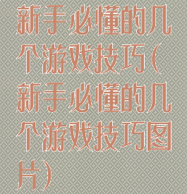 新手必懂的几个游戏技巧(新手必懂的几个游戏技巧图片)