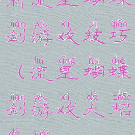 新流星蝴蝶剑游戏技巧(流星蝴蝶剑游戏大招大全)