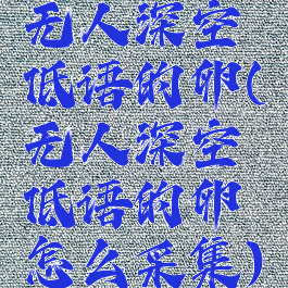 无人深空低语的卵(无人深空低语的卵怎么采集)