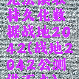 无法读取持久化数据战地2042(战地2042公测进不去)