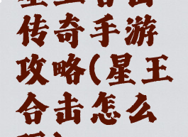 星王合击传奇手游攻略(星王合击怎么玩)