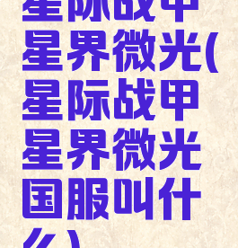 星际战甲星界微光(星际战甲星界微光国服叫什么)