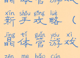 晶体管游戏新手攻略(晶体管游戏怎么保存)