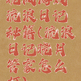 晓风游戏流浪日记秘籍(流浪日记晓月管家怎么打)