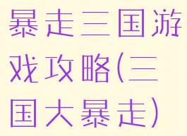暴走三国游戏攻略(三国大暴走)