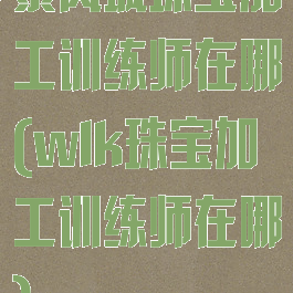 暴风城珠宝加工训练师在哪(wlk珠宝加工训练师在哪)