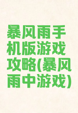 暴风雨手机版游戏攻略(暴风雨中游戏)