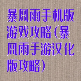 暴风雨手机版游戏攻略(暴风雨手游汉化版攻略)