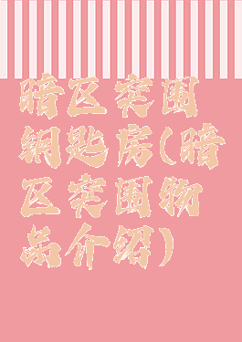 暗区突围钥匙房(暗区突围物品介绍)