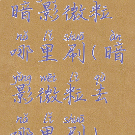 暗影微粒哪里刷(暗影微粒去哪里刷)