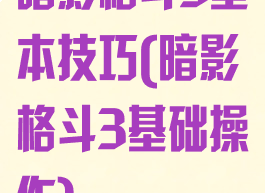暗影格斗3基本技巧(暗影格斗3基础操作)