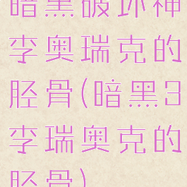 暗黑破坏神李奥瑞克的胫骨(暗黑3李瑞奥克的胫骨)