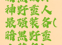 暗黑破坏神野蛮人最强装备(暗黑野蛮人装备)