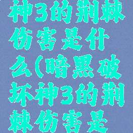 暗黑破坏神3的荆棘伤害是什么(暗黑破坏神3的荆棘伤害是什么属性)